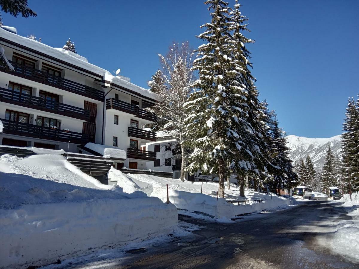 Casa Cinque Funghi A Folgarida Apartment ภายนอก รูปภาพ
