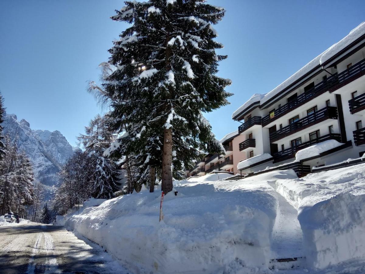 Casa Cinque Funghi A Folgarida Apartment ภายนอก รูปภาพ
