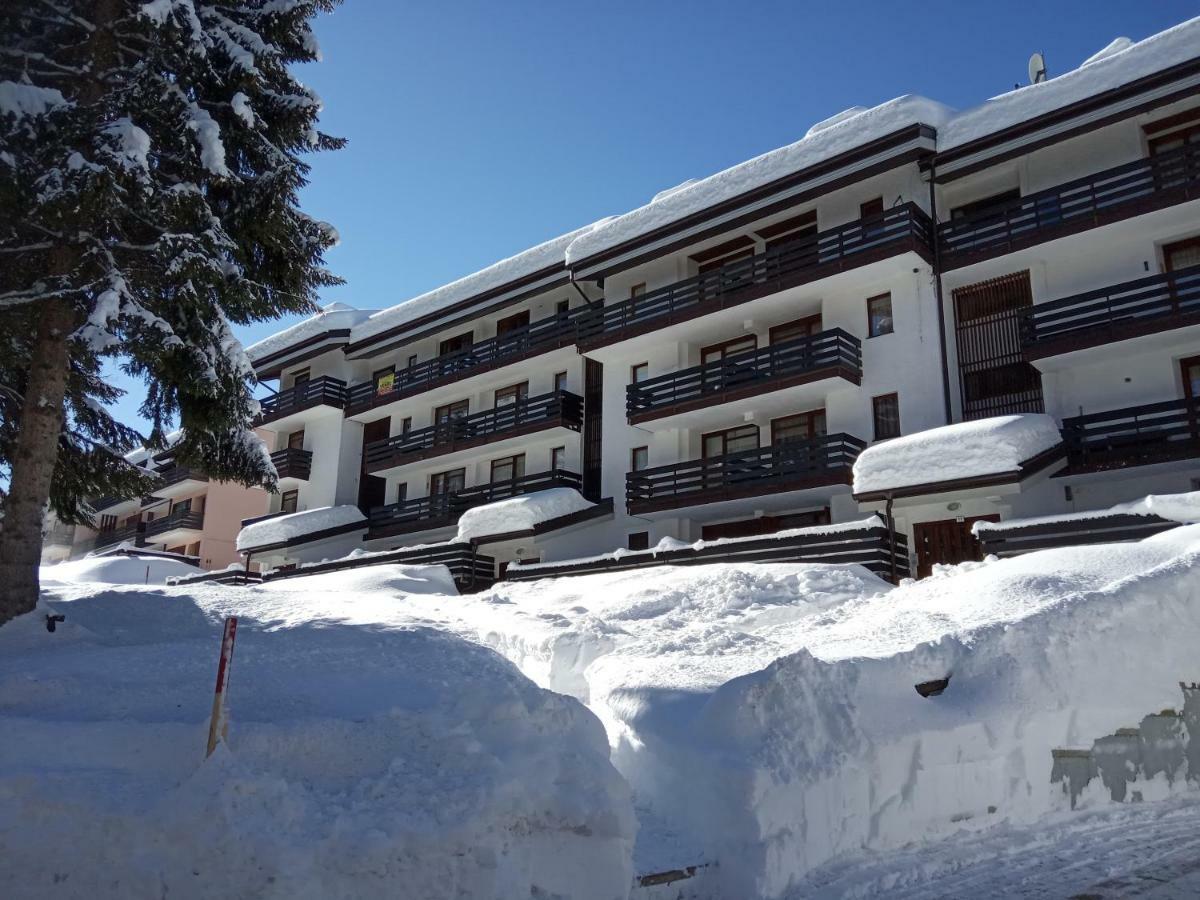 Casa Cinque Funghi A Folgarida Apartment ภายนอก รูปภาพ